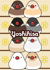 Yoshihisa Round and cute Java sparrow