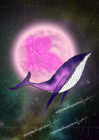 处女座和鲸鱼-紫色-