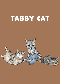 tabbycat5 - dark caramel