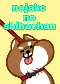 nojako's shibachan