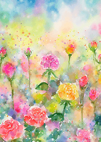 Beautiful rose flower(R5057)