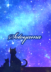 Sotoyama Milky way & cat silhouette