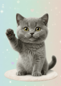 mochi cat (moichbi)realistic versions