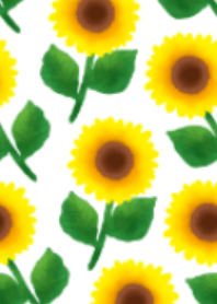 Lots of summer sunflowers