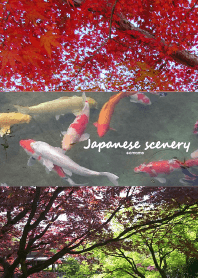Japanese scenery/Autumn
