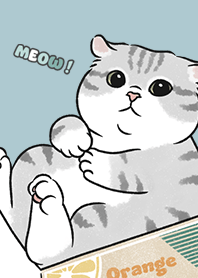 neko single15 / sea blue