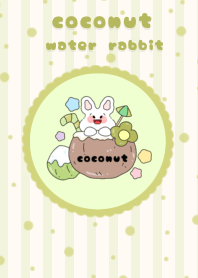 coconut water rabbit2