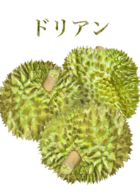榴蓮　8