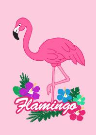 Flamingo