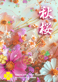 Cosmos Increased luck#