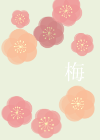 紅梅白梅
