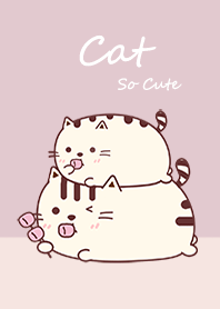 Hello Cat So Cute