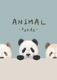 ANIMAL - Panda - BLUE GRAY