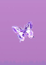 Purple crystal butterfly 2