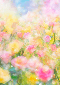 Beautiful rose flower(R5841)