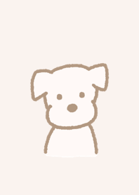 Simple cute miniature schnauzer