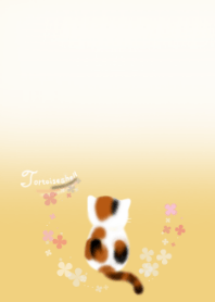 tortoiseshell cat !