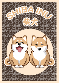 柴犬の日常(仲良し)