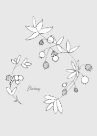 Blueberry simple sketch1-1