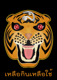 Have more than enough (Orange)