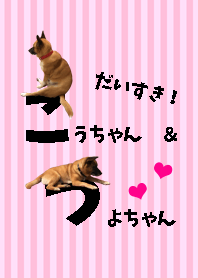 だいすき こうちゃん つよちゃん Line 着せかえ Line Store