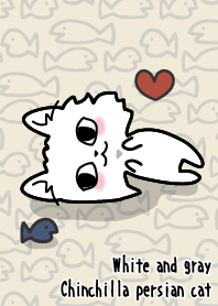 白色和灰色龙猫银色波斯猫