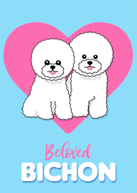 Beloved Bichon