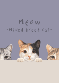Meow - Mixed breed cat 01 - DUSTY PURPLE