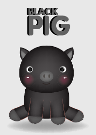 Cute Baby Black Pig Theme