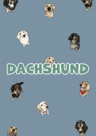 dachshund6 / pale denim