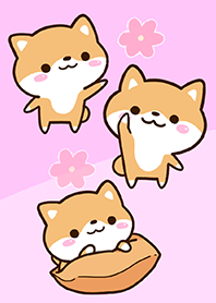 Theme of Cute Shiba2