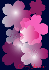 Cherry Blossoms in ultramarine