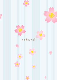 Cherry blossom dance season26 from Japan