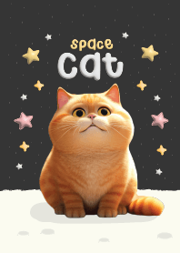 แมวส้มอวกาศสีดำ : British Shorthair!