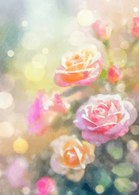 Beautiful rose flower(R2707)