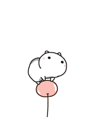 cat staring -24 - top