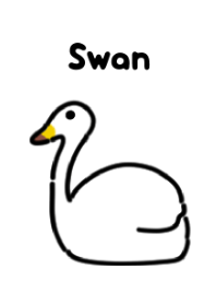 Cute swan theme