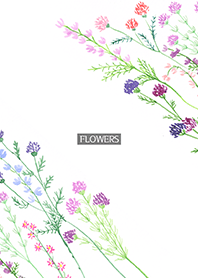 water color flowers_1125