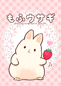 もふウサギ