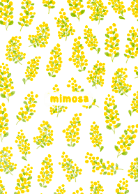 flower/mimosa Theme