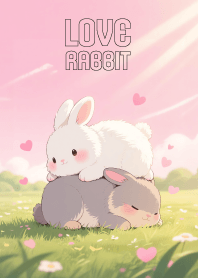 Pretty Rabbit Couple Lover