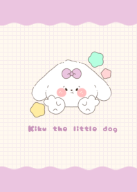 Kiku the little dog1