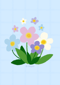 forget me not [sky blue]