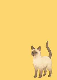 Siamese cat holiday lightyellow