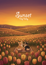 Sunset Tulip Valley