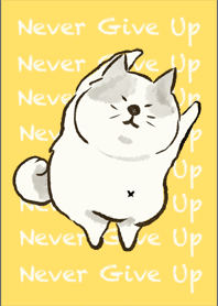 Dancing Cats-Never Give Up!Ver.Yellow