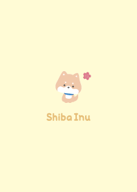 Shiba Inu3 Cherry blossoms [Yellow]