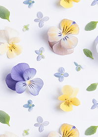 Tufted Pansy Pattern