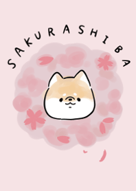 Shiba Inu Dog -Cherry Blossoms-