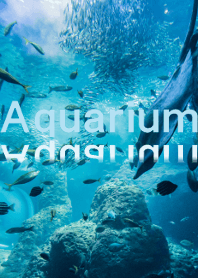 small aquarium